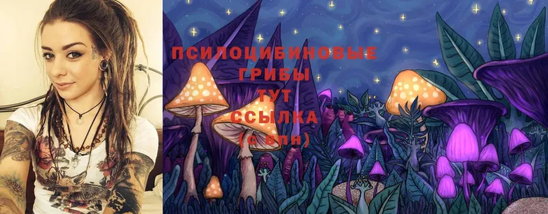 Псилоцибиновые грибы Magic Shrooms  Энем 